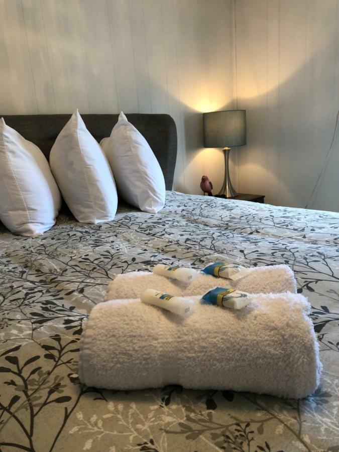 בונאוויסטה Alma'S Cape Shore Cottage! Your Home Away From Home! מראה חיצוני תמונה